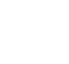 Flowers Flavour Tea